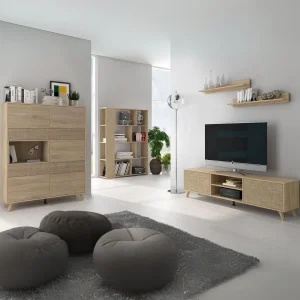 CONJUNTO MUEBLES SALÓN TV PREMIUM